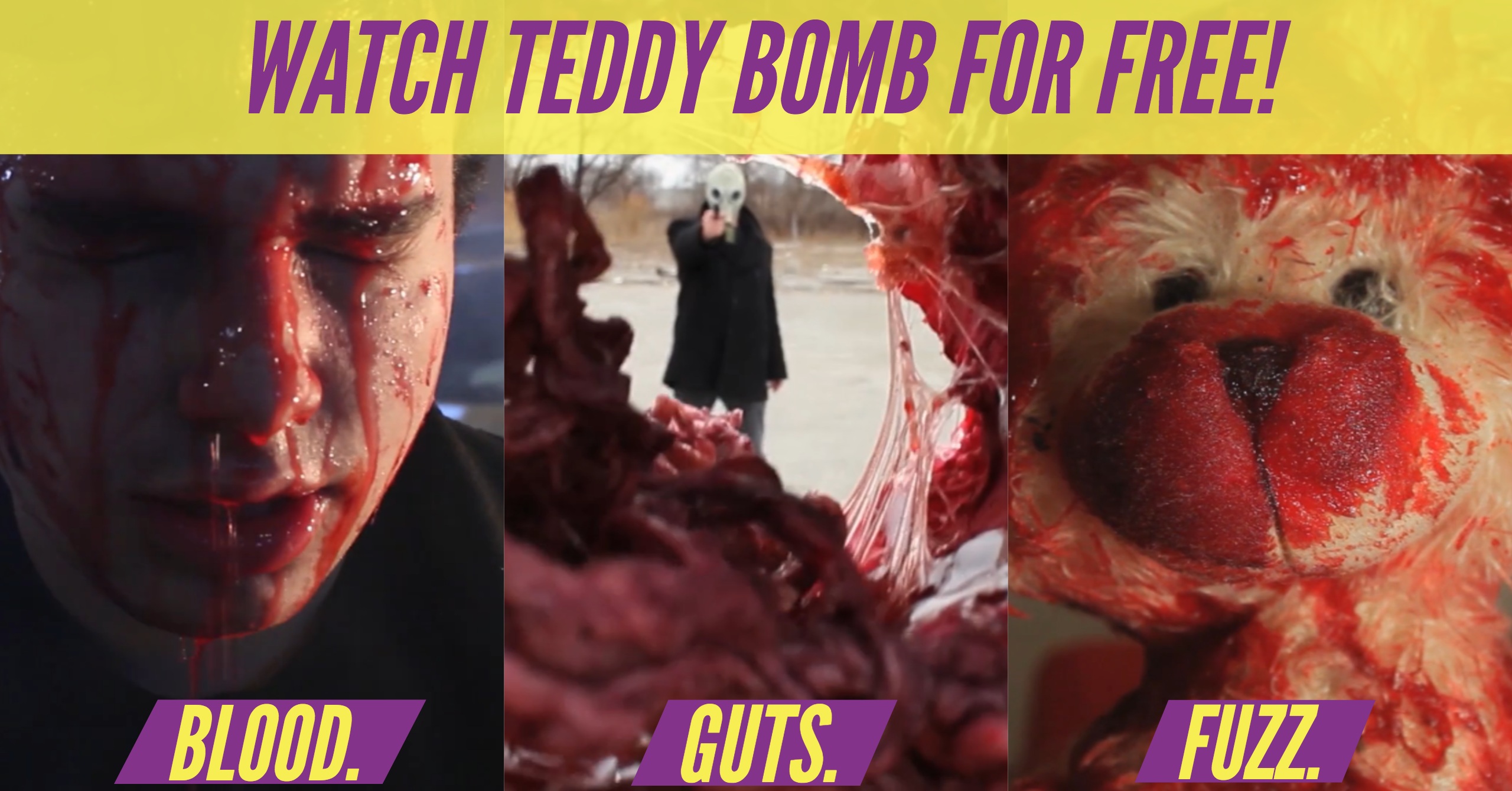 It’s true, you can watch Teddy Bomb for free!